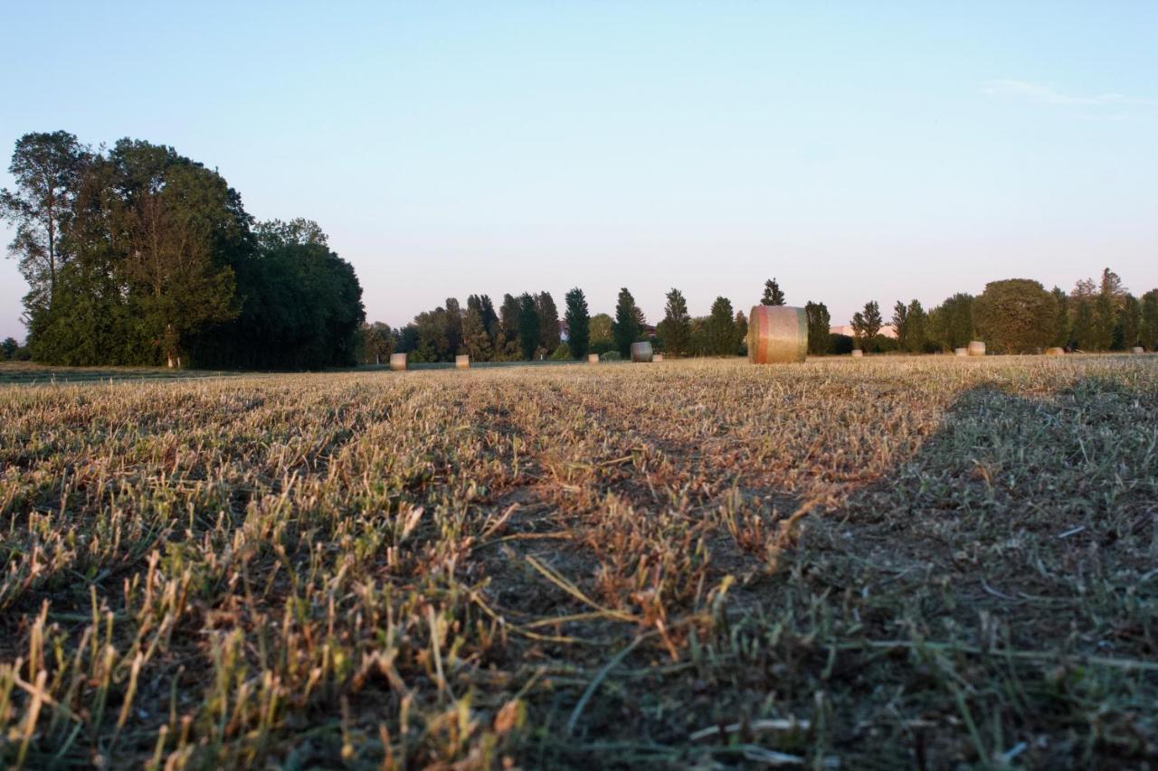 Il Gesuita Mantova Exterior foto